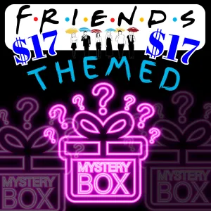 $17- MYSTERY BLIND BOX/ BAG - "FRIENDS THEMED"