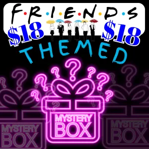 $18- MYSTERY BLIND BOX/ BAG - "FRIENDS THEMED"