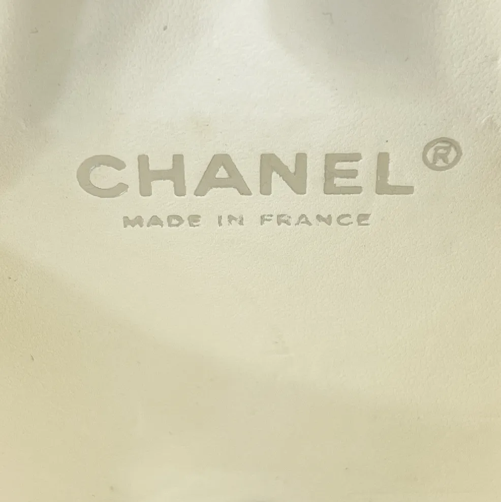 Chanel - RARE Mini Stingray Calfskin Case Crossbody Beige / Silver
