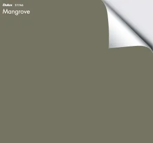 Dulux Mangrove