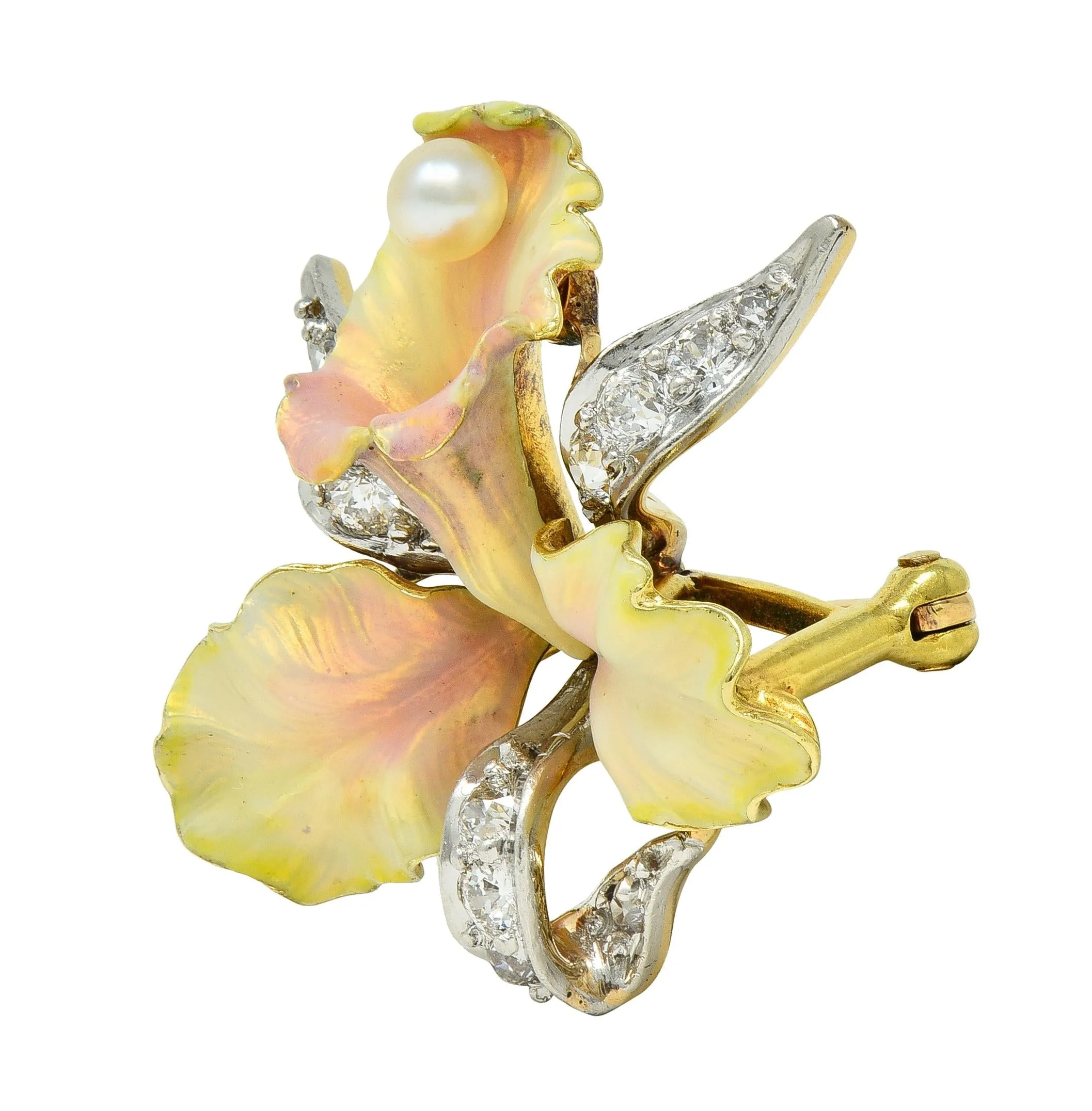 Henry Blank & Co. Art Nouveau Diamond Peal Enamel Platinum 14 Karat Gold Antique Daffodil Flower Pendant Brooch