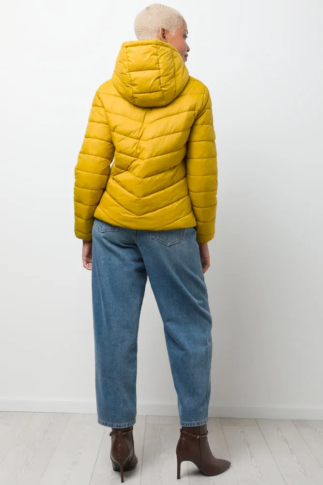 Hooded Puffer Jacket Yellow