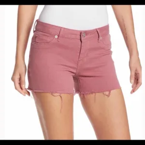 HUDSON Denim Shorts