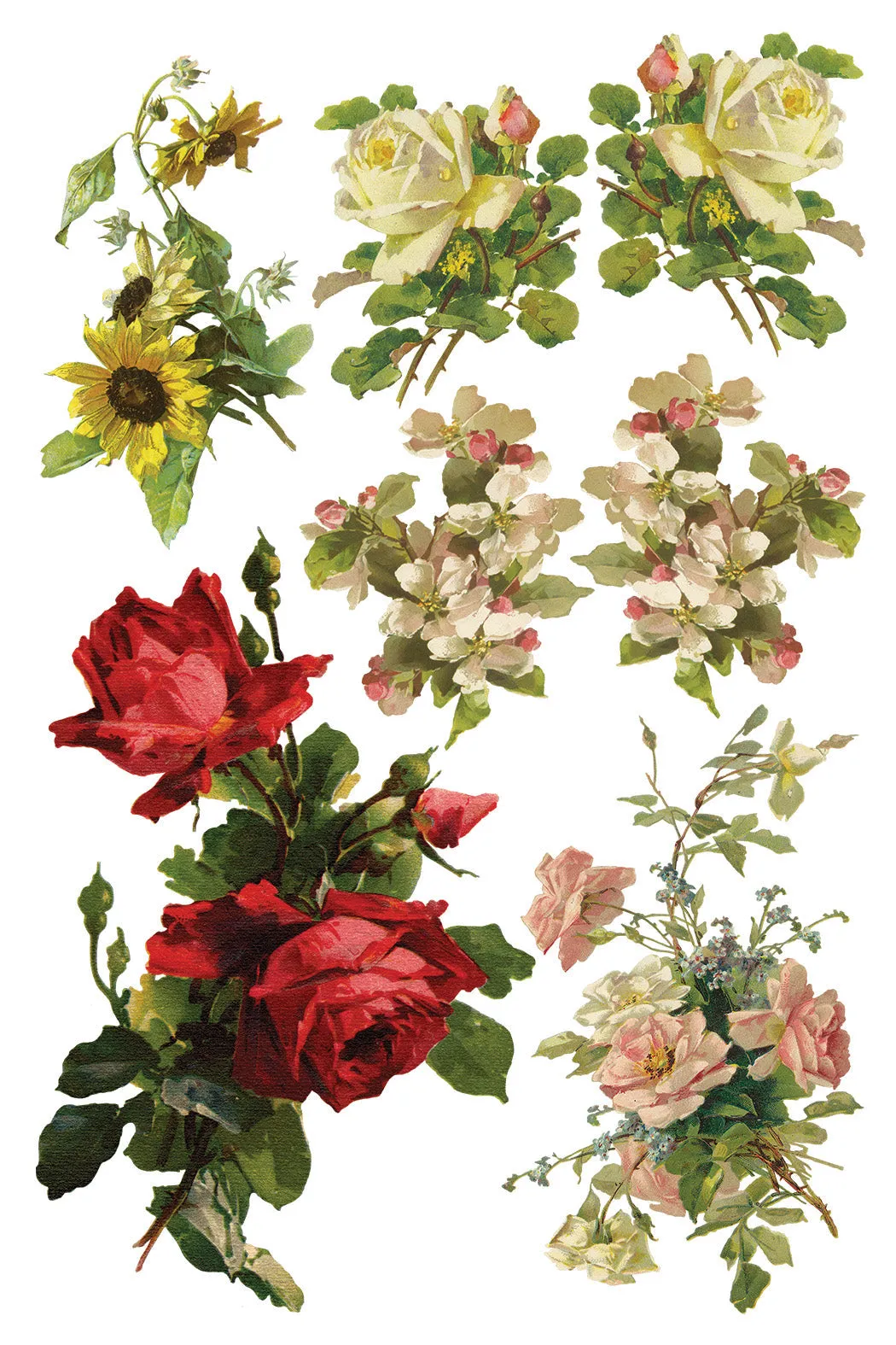 More are on the way-Catharina IOD Transfer 8"x12" Pad™ -Iron Orchid Designs