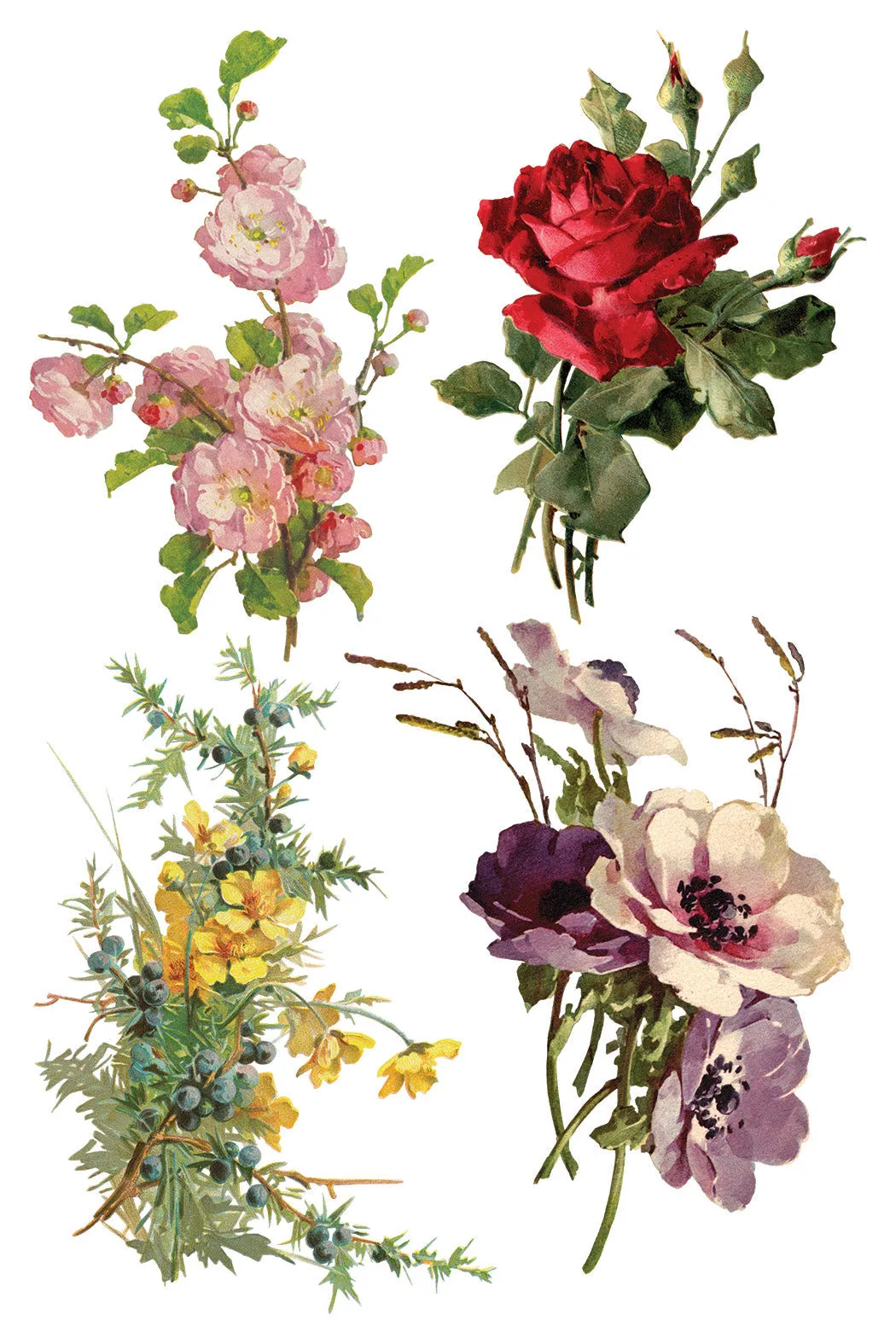 More are on the way-Catharina IOD Transfer 8"x12" Pad™ -Iron Orchid Designs