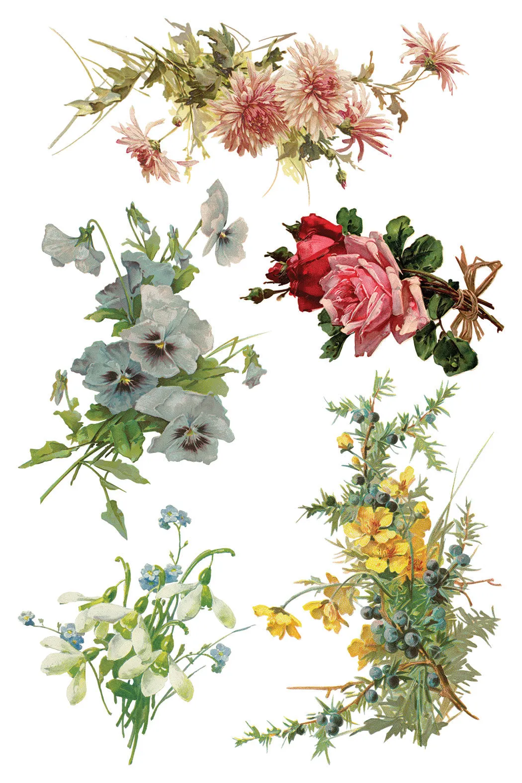 More are on the way-Catharina IOD Transfer 8"x12" Pad™ -Iron Orchid Designs