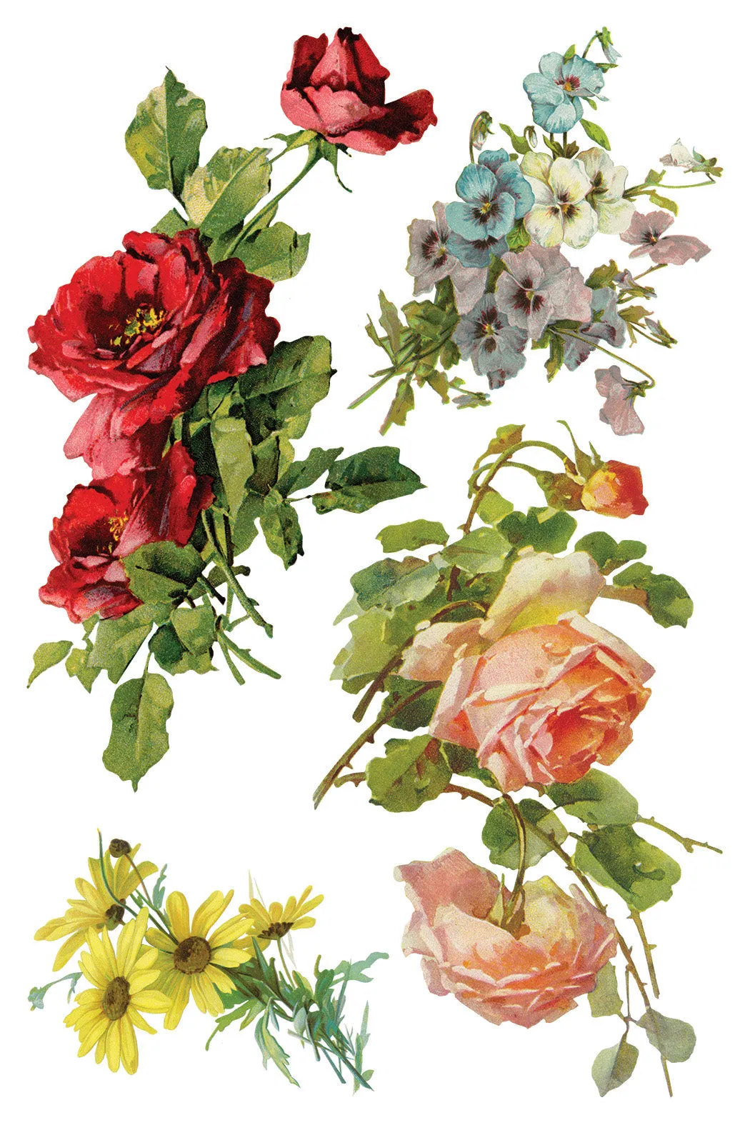 More are on the way-Catharina IOD Transfer 8"x12" Pad™ -Iron Orchid Designs