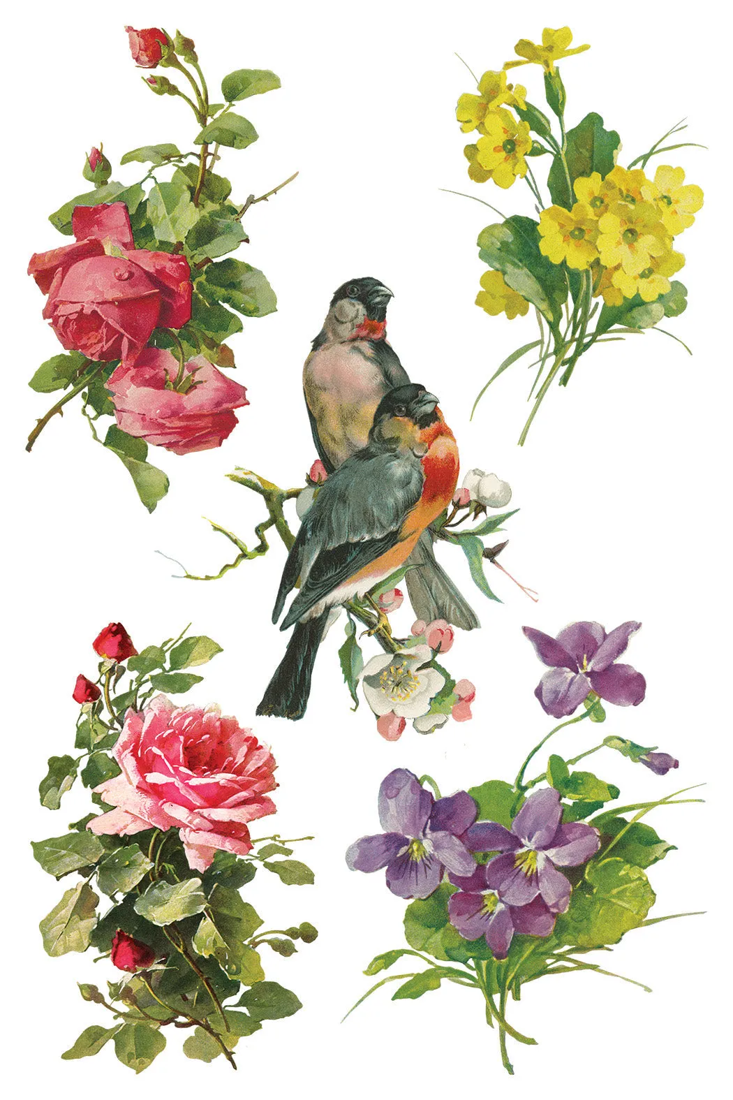 More are on the way-Catharina IOD Transfer 8"x12" Pad™ -Iron Orchid Designs