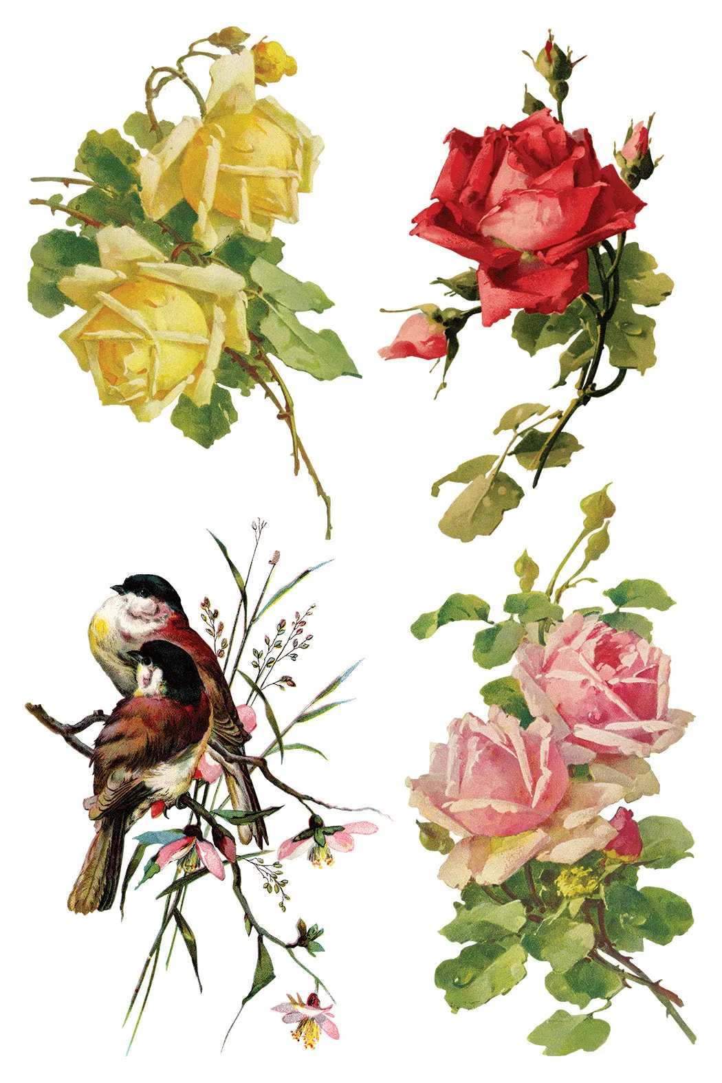 More are on the way-Catharina IOD Transfer 8"x12" Pad™ -Iron Orchid Designs