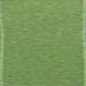 Ninomiya Japanese Lead Based Enamels #B244 Grass Green