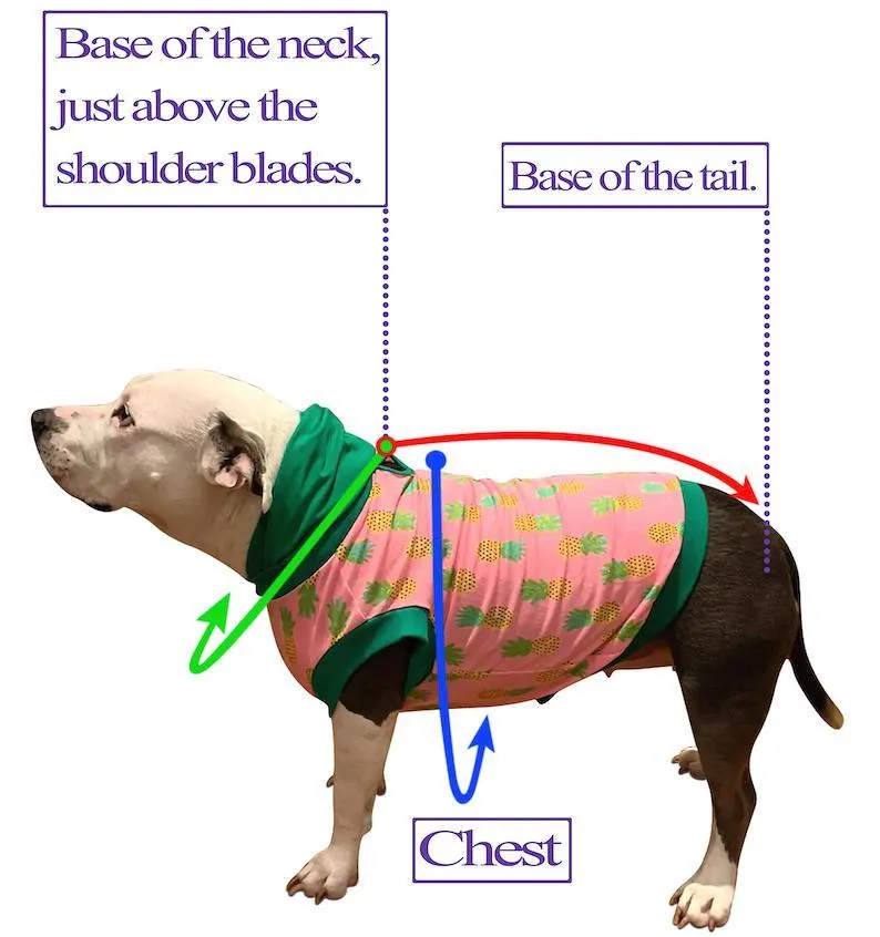 Red Dog Trench Coat With Hoodie