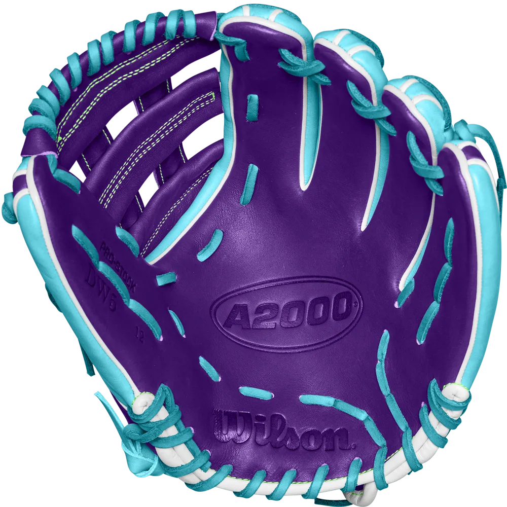 Wilson A2000 DW5 12" Baseball Glove - Winter 2024: WBW10252212